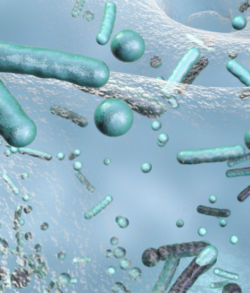 legionella1