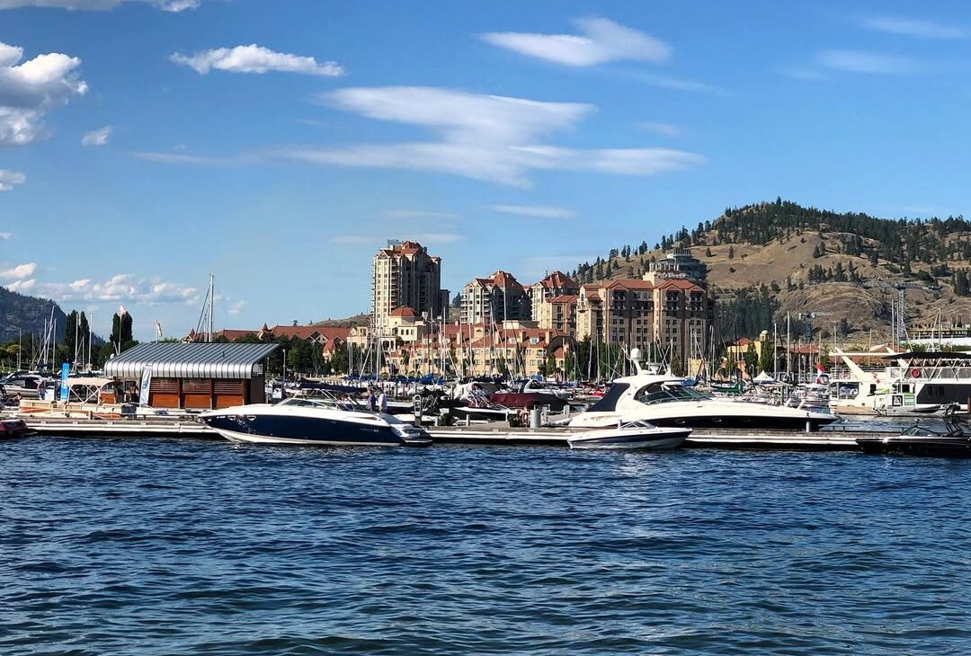 66494579_369544537041066_138745682130391964_n